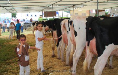 FEIRA AGRÍCOLA SÃO JORGE 2018 – (Pavilhões /Expositores) – Ilha de São Jorge (c/ reportagem fotográfica)