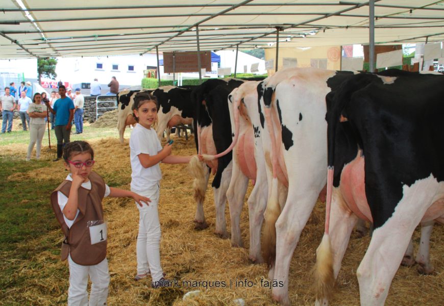 FEIRA AGRÍCOLA SÃO JORGE 2018 – (Pavilhões /Expositores) – Ilha de São Jorge (c/ reportagem fotográfica)