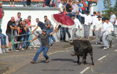 1ª TOURADA À CORDA – Santo António – Ilha de São Jorge (c/ reportagem fotográfica)