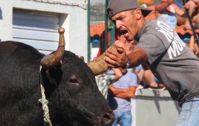 TOURADA À CORDA EM SANTO AMARO – Ilha de São Jorge (c/ reportagem fotográfica)