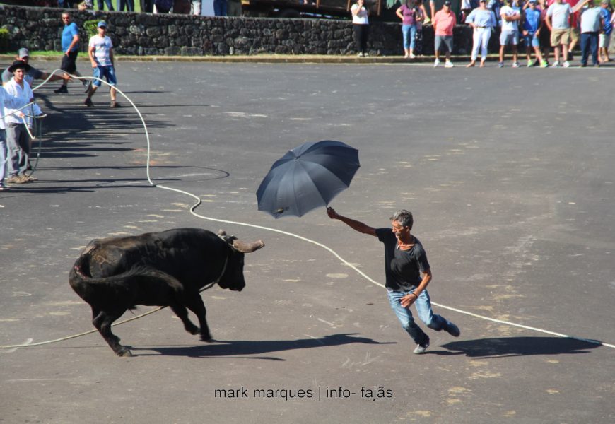 TOURADA À CORDA – FESTAS DE ROSAIS / 2018 – Ilha de São Jorge (c/ reportagem fotográfica)