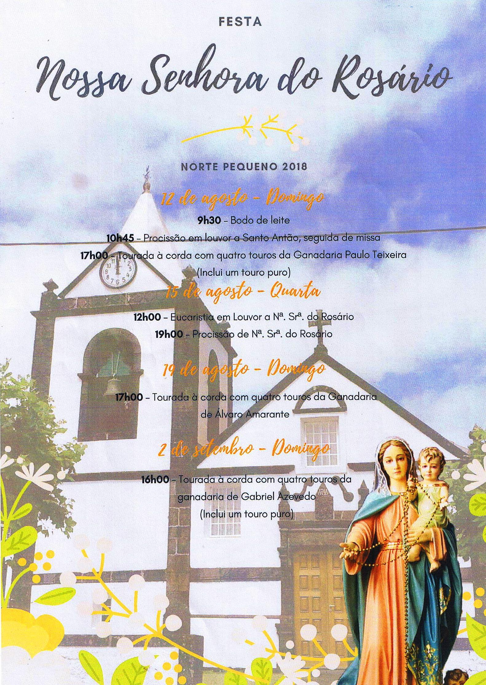 Imagem (295)