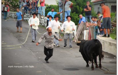 2ª TOURADA À CORDA – FESTAS DE SANTA ANA – Beira / Velas – Ilha de São Jorge (c/ reportagem fotográfica)