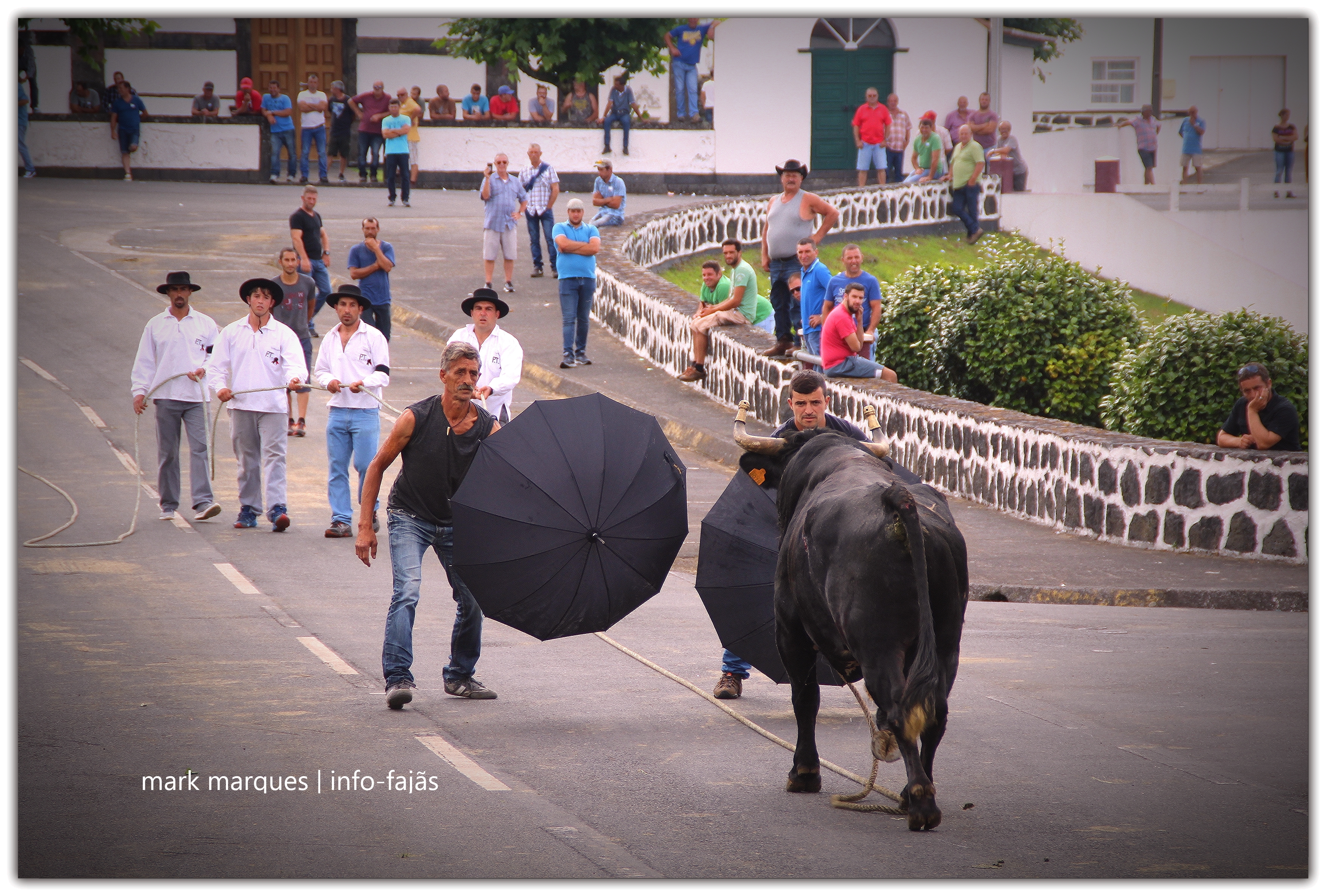 Tourada Norte Pequeno