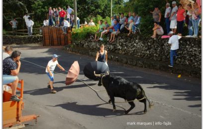 TOURADA À CORDA – BOA HORA / SANTO AMARO – Ilha de São Jorge (c/ reportagem fotográfica)