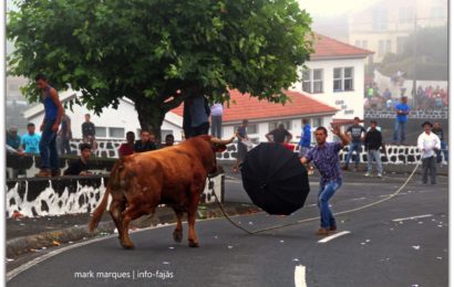 TOURADA À CORDA – Norte Pequeno – Ilha de São Jorge (c/ reportagem fotográfica)