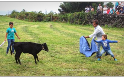 GARRAIADA NA FAJÃ DO OUVIDOR – Norte Grande – Ilha de São Jorge (c/ reportagem fotográfica)