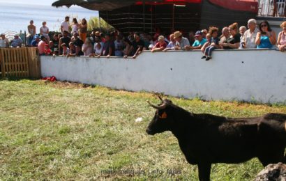 GARRAIADA NA FAJÃ GRANDE – Calheta – Ilha de São Jorge (c/ reportagem fotográfica)