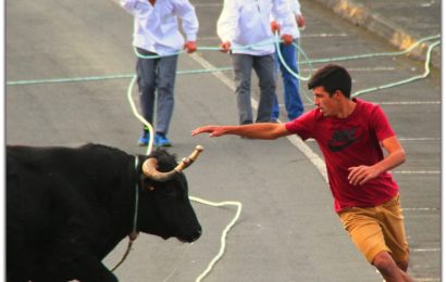 Decorreram 46 Eventos Taurinos no ano de 2018 na Ilha de São Jorge