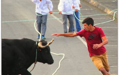 “TEMPOS DE ESPERA” – TOURADA À CORDA – Concurso de Ganadarias – Norte Pequeno – Ilha de São Jorge (c/ vídeo)