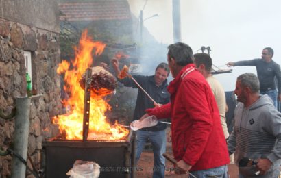 FESTA DE SÃO MARTINHO NA FAJÃ DA SARAMAGUEIRA -“MOMENTOS” – Santo Antão – Ilha de São Jorge (c/ reportagem fotográfica)