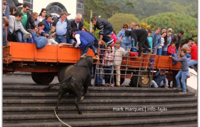 1ª TOURADA À CORDA DO ANO – URZELINA – Próximo dia 1 de maio (quarta-feira / dia feriado) – Ilha de São Jorge