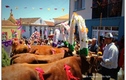 FESTA E BODO DE LEITE – VILA DO TOPO – Ilha de São Jorge (c/ vídeo)