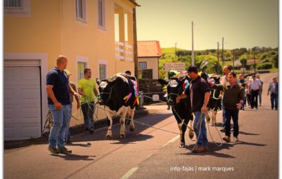 FESTA DO GADO NA SEXTA-FEIRA DA TRINDADE – Norte Pequeno – Ilha de São Jorge (c/ reportagem fotográfica)