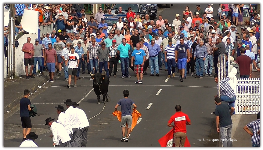 Tourada Norte peq Final FJ 2019
