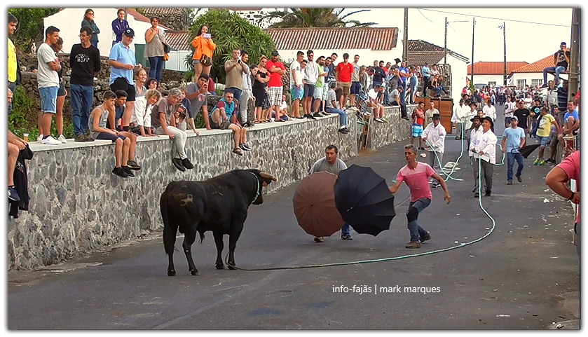 TB