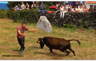 “VACADA” NAS FESTAS DA FAJÃ DO OUVIDOR – Ilha de São Jorge (c/ vídeo)