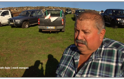 Álvaro Amarante, ganadeiro na Ilha de São Jorge, esteve à conversa com o Info-Fajãs (c/ vídeo)