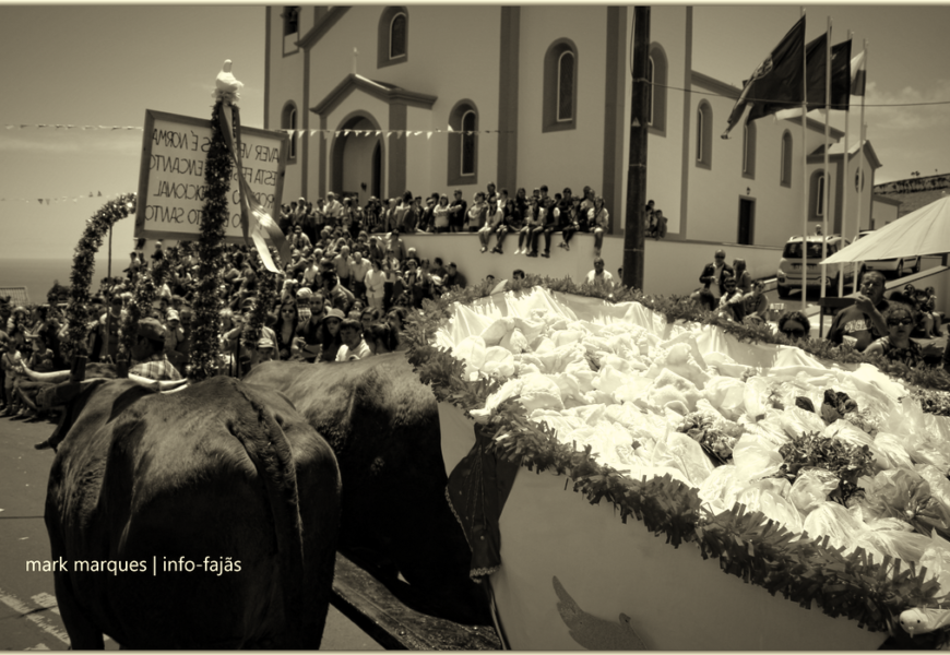 CORTEJO DO BODO DE LEITE – SANTO ANTÃO – Ilha de São Jorge (2019) (c/ vídeo)