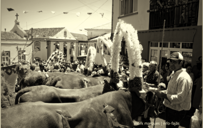 “TEMPOS DE ESPERA” – FESTA E BODO DE LEITE – VILA DO TOPO – Ilha de São Jorge (2019) (c/ vídeo)