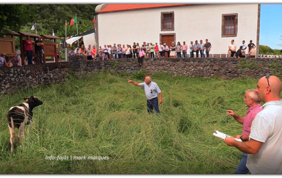 TRADICIONAIS ARREMATAÇÕES – Festa na Fajã dos Cubres – Ilha de São Jorge (c/ vídeo)