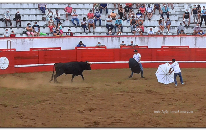 FESTIVAL DE CAPINHAS – Praça de Touros da Ilha de São Jorge  (c/ vídeo)