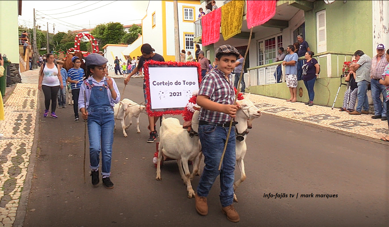Sem Título