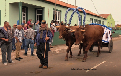 Cortejo e Bênção do Gado – FESTA DE SÃO TOMÉ – Ilha de São Jorge (c/ vídeo)