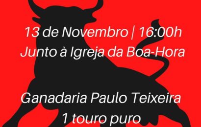TOURADA À CORDA NA BOA HORA – (Próximo sábado dia 13) – Ilha de São Jorge