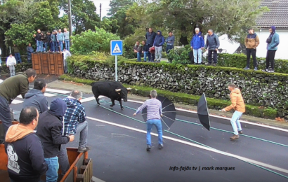 TOURADA À CORDA NA BOA HORA – Santo Amaro – Ilha de São Jorge (c/ vídeo)