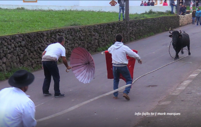 1ª TOURADA À CORDA NA ILHA DE SÃO JORGE no “pós-pandemia” (c/ vídeo)
