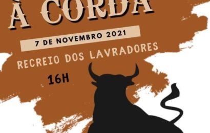 TOURADA À CORDA EM SANTO ANTÃO (Próximo Domingo dia 7)