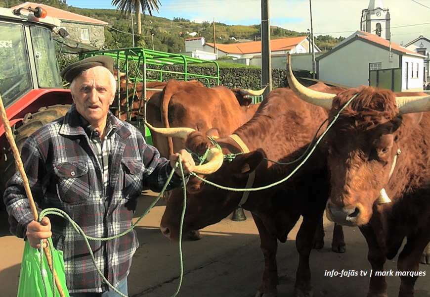 “FESTA DO GADO” e “ENTREVISTAS” – Rosais – Ilha de São Jorge (c/ vídeo)