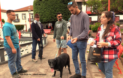 CAMPANHA DE ADOÇÃO ANIMAL – Velas – Ilha de São Jorge (c/ vídeo)