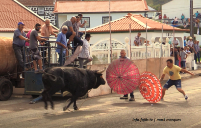 “Tourada à Corda” – Norte Pequeno – Ilha de São Jorge (21.08.2022) (c/ vídeo)