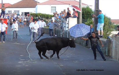 “Tourada à Corda” (marrada ao minuto 9:34) – Beira – Ilha de São Jorge (c/ vídeo)