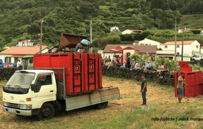 “Garraiada” – Fajã do Ouvidor – Ilha de São Jorge (c/ vídeo)