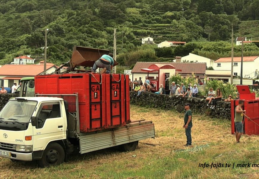 “Garraiada” – Fajã do Ouvidor – Ilha de São Jorge (c/ vídeo)