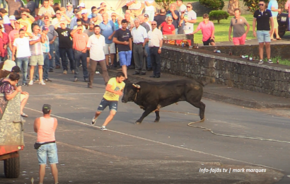 Aficionados da Tourada à Corda | O quinto Touro – Norte Pequeno – Ilha de São Jorge (c/ vídeo)