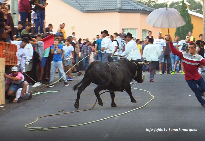 Tourada à Corda na Urzelina – Ilha de São Jorge (c/ vídeo)