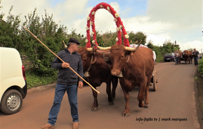 “Desfile de Juntas de Bois” – Barreiro / Topo – Ilha de São Jorge (c/ vídeo)