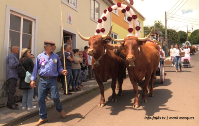 Vila do Topo promove o tradicional Bodo de Leite – Ilha de São Jorge (c/ vídeo)