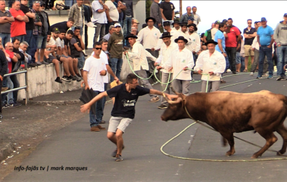 2ª TOURADA À CORDA – Santo António – Ilha de São Jorge (c/ vídeo)