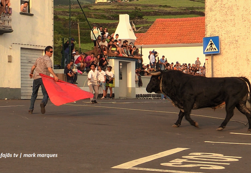 “TOURADA À CORDA” na freguesia de Santo Amaro – Ilha de São Jorge (c/ vídeo)