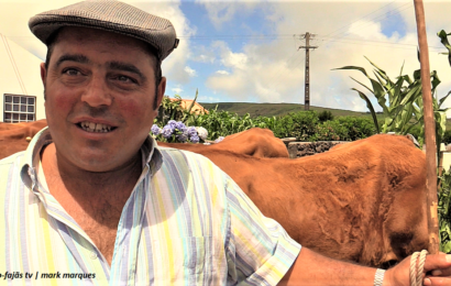 “ENTREVISTAS A PARTICIPANTES NO BODO DE LEITE NO CRUZAL”- Santo Antão – Ilha de São Jorge (c/ vídeo)