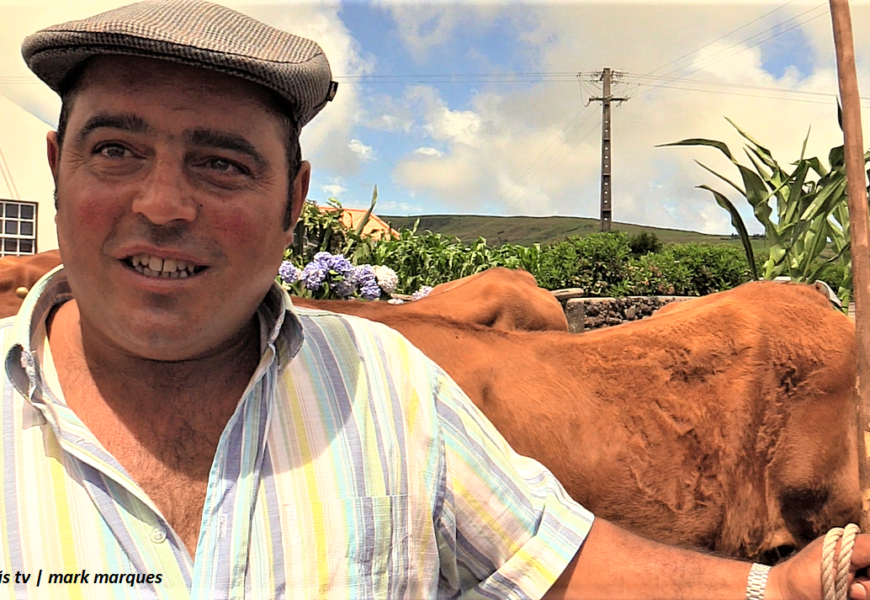 “ENTREVISTAS A PARTICIPANTES NO BODO DE LEITE NO CRUZAL”- Santo Antão – Ilha de São Jorge (c/ vídeo)