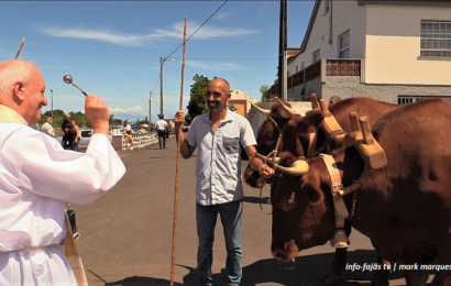 NORTE PEQUENO – “Procissão | Bênção do Gado” – Norte Pequeno – Ilha de São Jorge (c/ vídeo)
