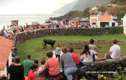“VACADA” – Fajã das Pontas / Norte Pequeno – Ilha de São Jorge (c/ vídeo)