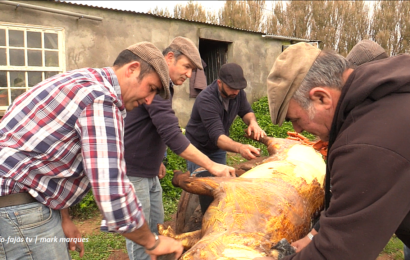 “MATANÇA TRADICIONAL DO PORCO” – Topo – Ilha de São Jorge (c/ vídeo)