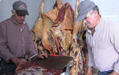 “PREPARATIVOS” do 3º Jantar do Divino Espírito Santo – Vila do Topo – Ilha de São Jorge (c/ vídeo)
